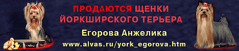 ����������� ������� - �����, �����.