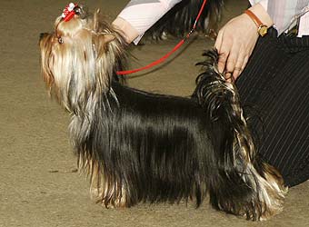 ����������� ������