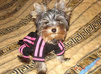 ����������� ������