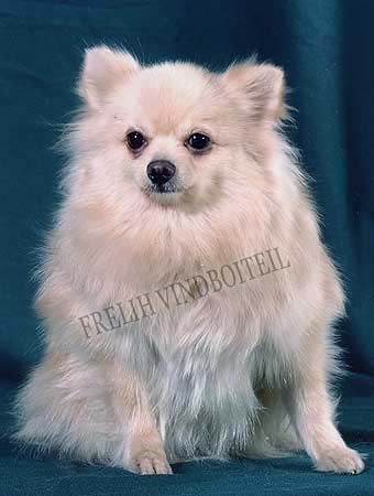 ����������� ���� ������ ����������� �����.