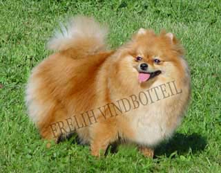 ����������� ���� ���� �������. ������� �� ������� ������.