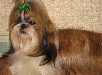 ��-��� Improvistion Ice And Fire ���� ������� ������