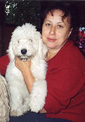 ���������� �.�. � ������ ���������.