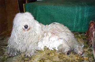 �������� ������ ���� � �������