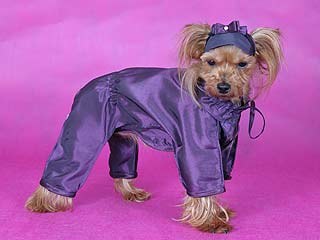 ����������� ������ � ������� �� ����� ����������.