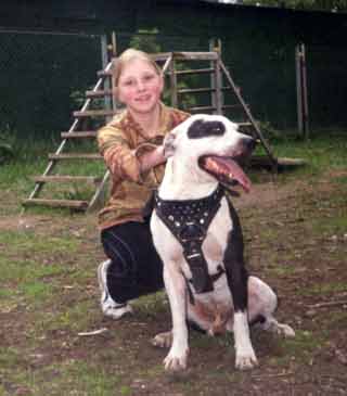 Varvar Bull - ������� ���� � ��������.