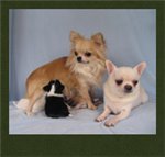 ������ ��� oms