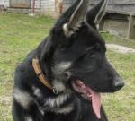 ������ ��� ����� �����