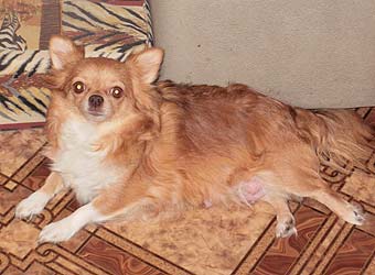 ��������.