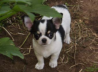 ��������.