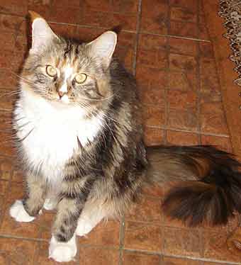 �������