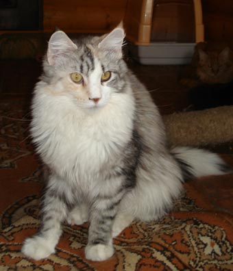 �������