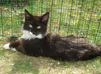 �������