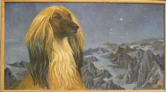 �����, ���������, ��������� ������.