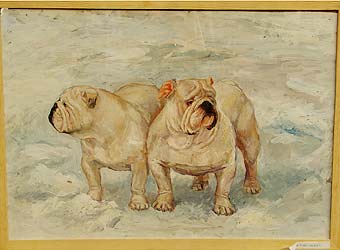 �����, ���������, ��������� ������.