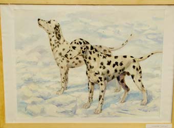 �����, ���������, ��������� ������.