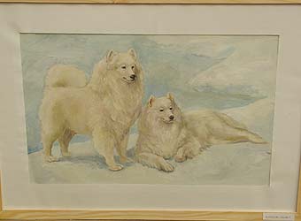 �����, ���������, ��������� ������.