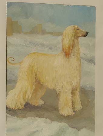 �����, ���������, ��������� ������.