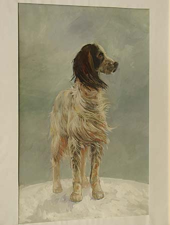 �����, ���������, ��������� ������.