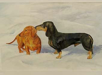 �����, ���������, ��������� ������.