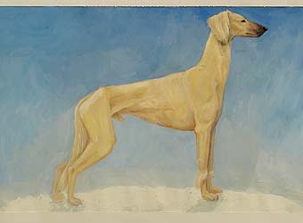 �����, ���������, ��������� ������.